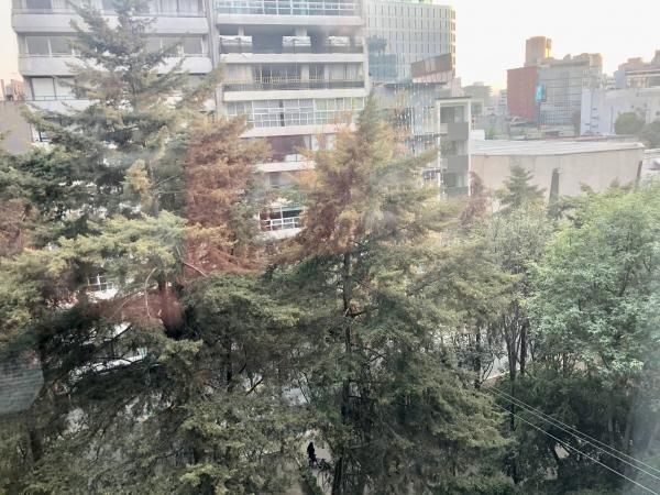 2 de 19