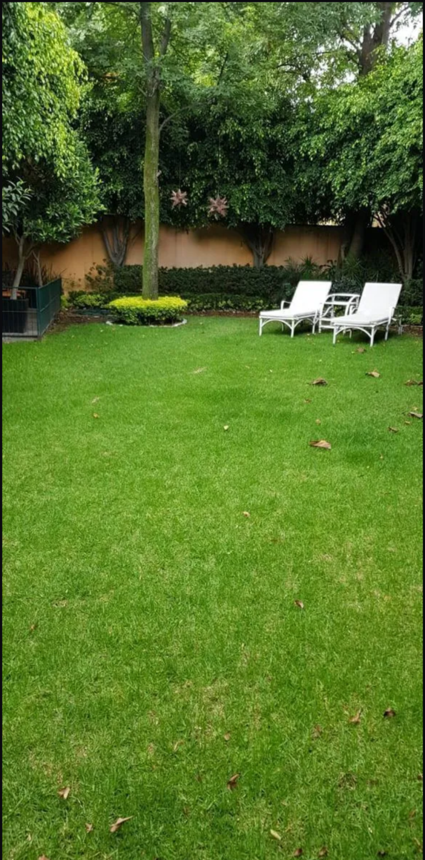 30 de 30
