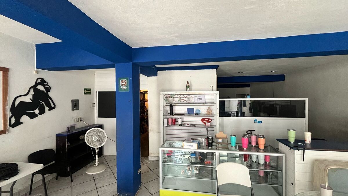 1 de 8