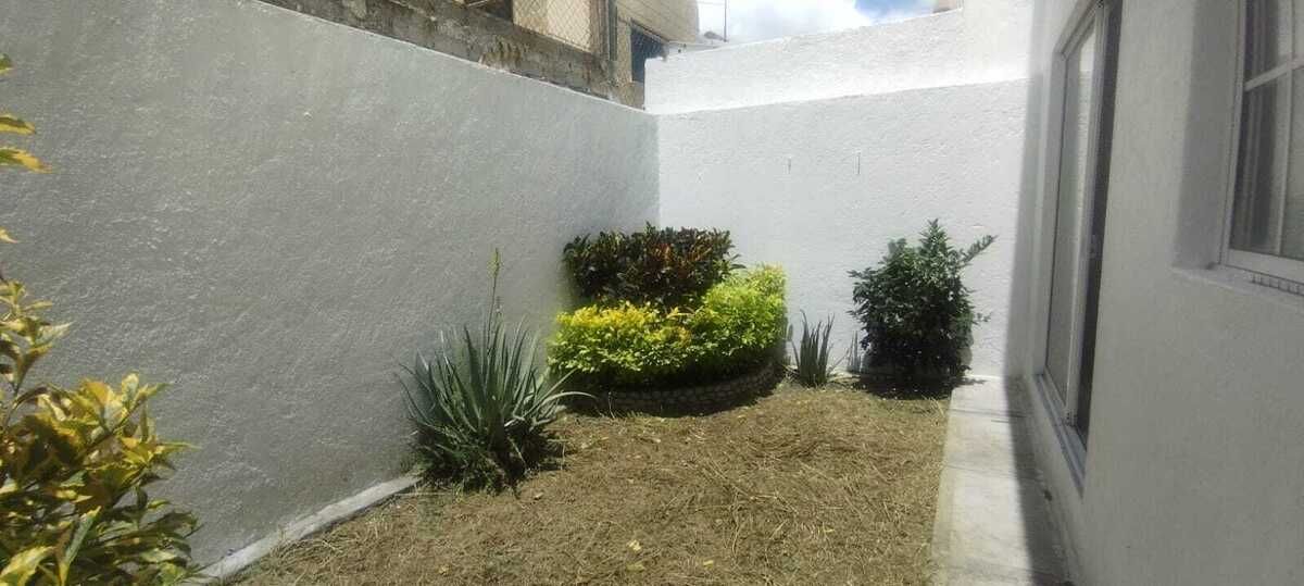 Imagen 7 de 10