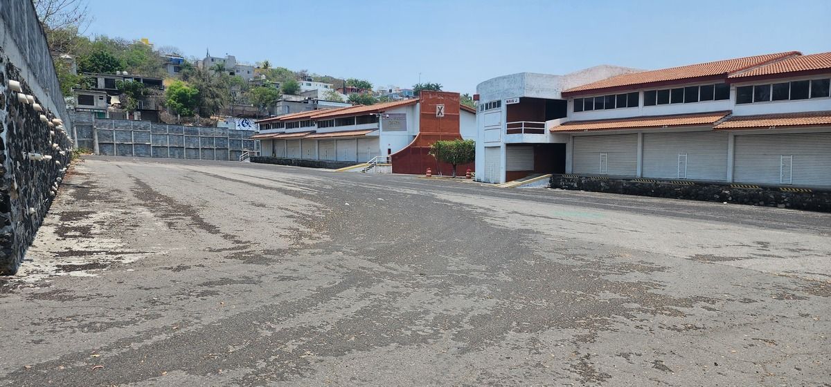 3 de 6