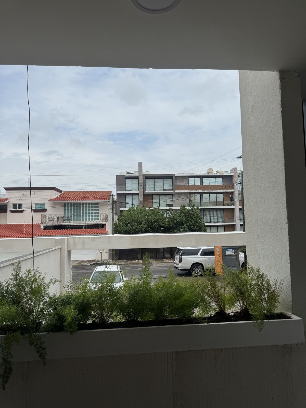 3 de 29