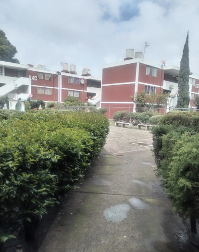 6 de 8