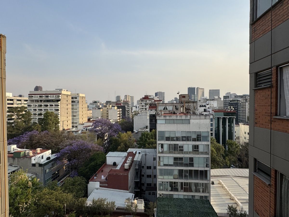 15 de 15