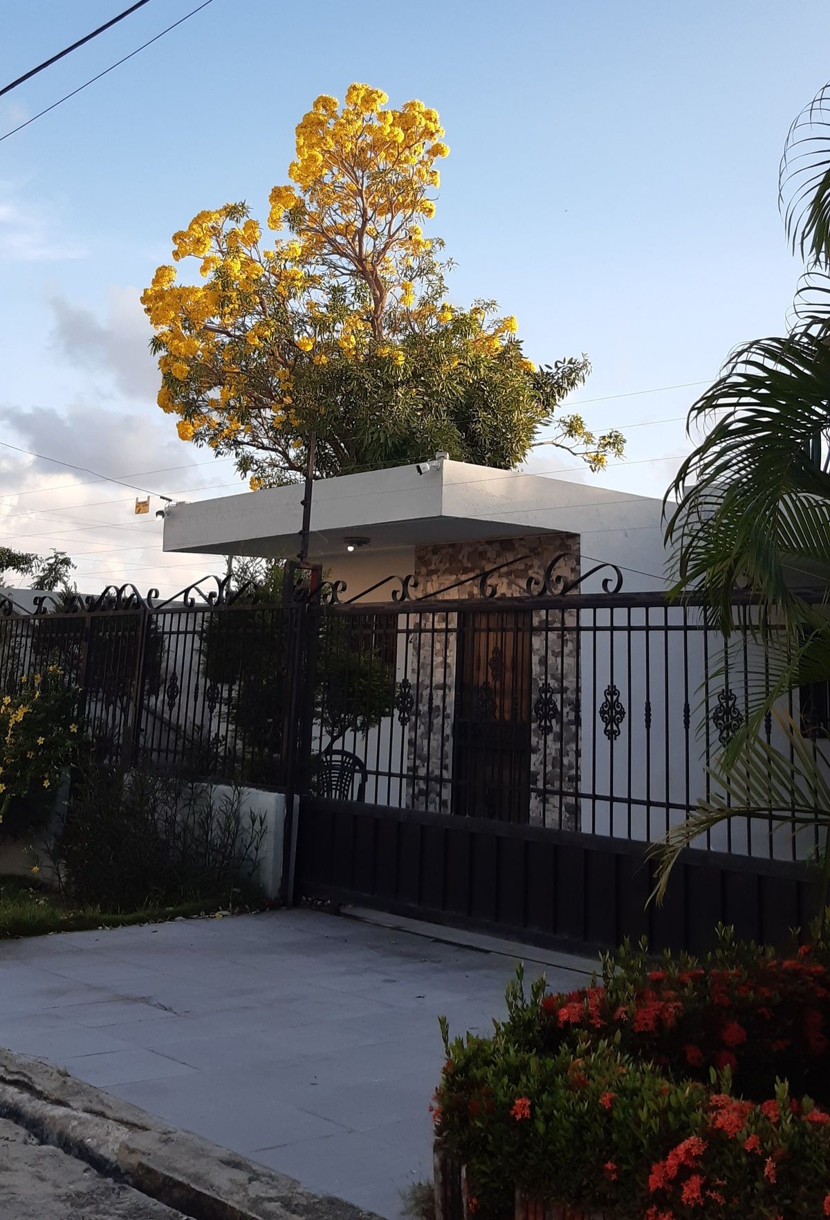 1 de 20