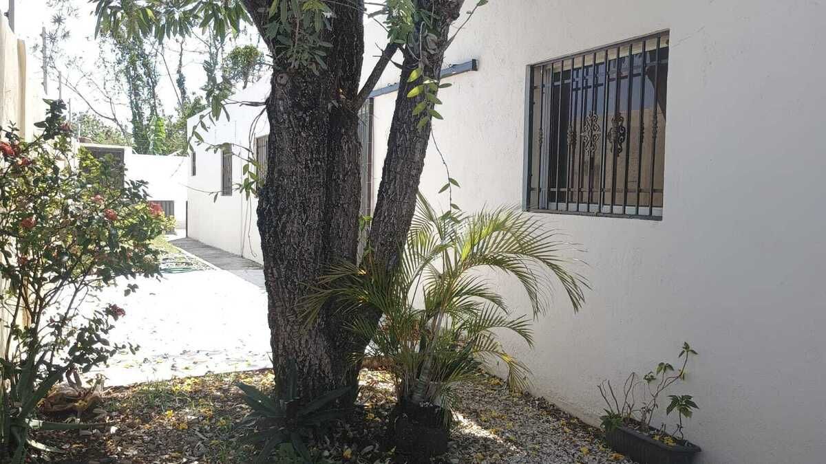 7 de 20