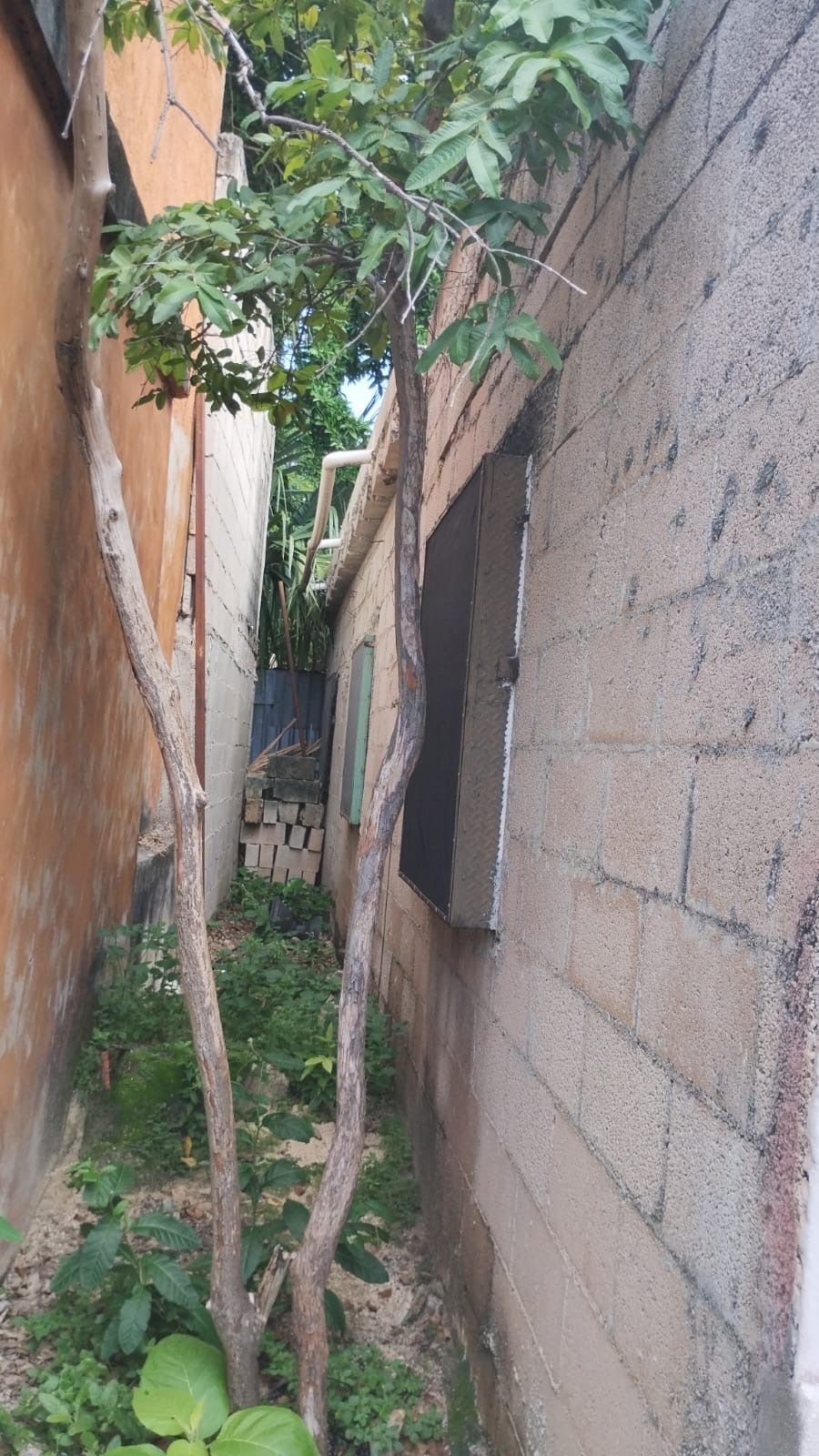 10 de 11