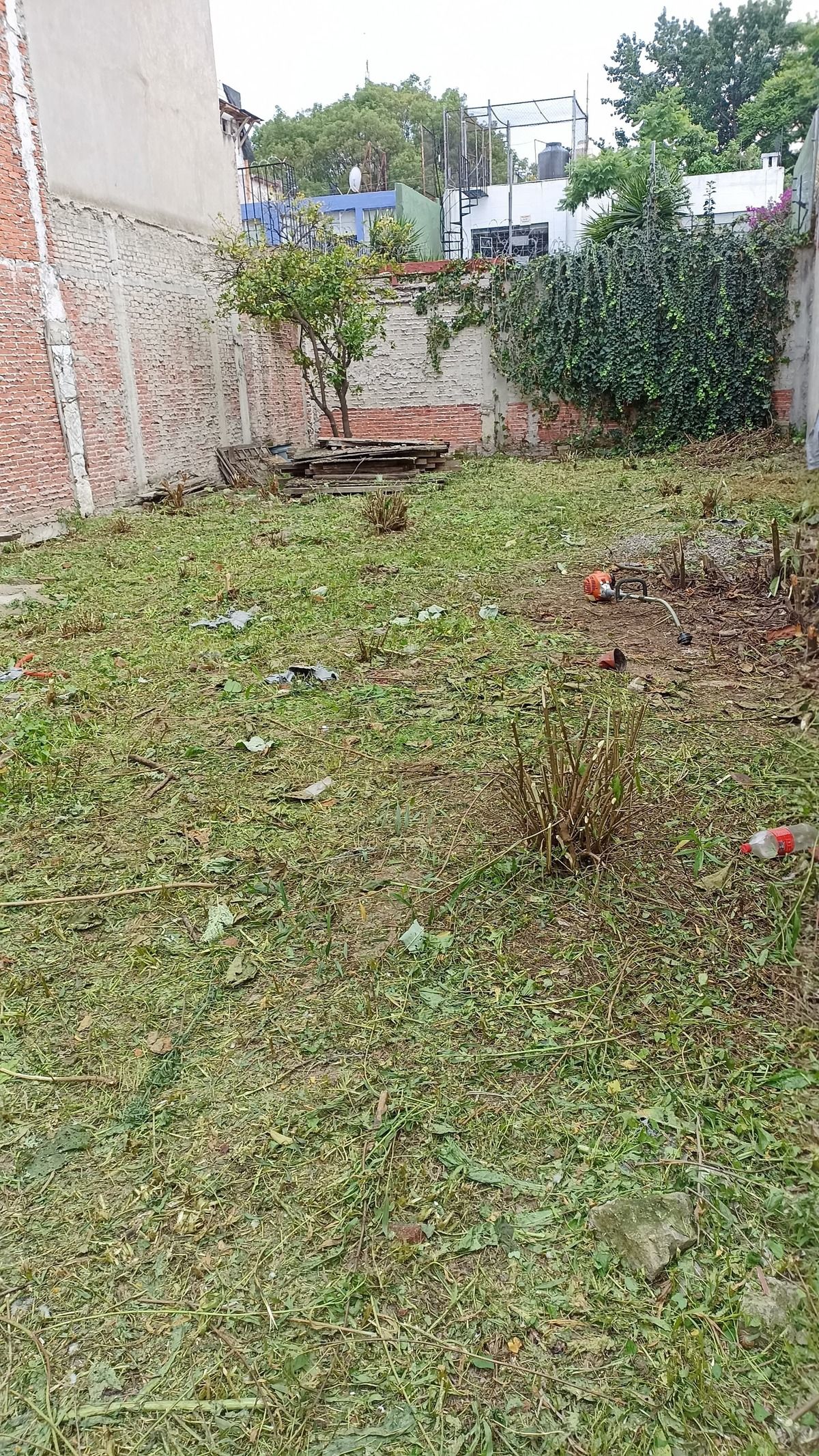 5 de 8