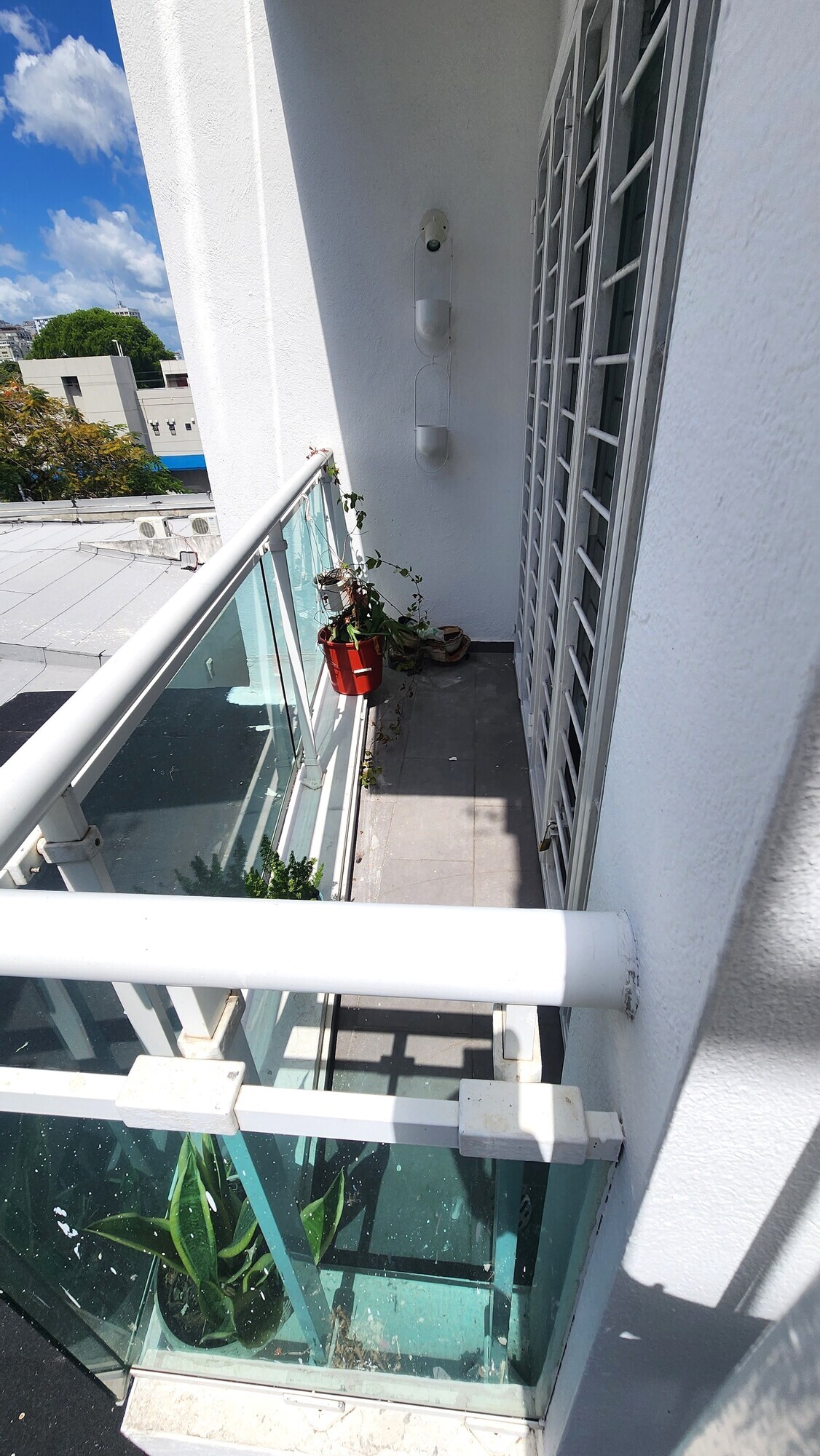 11 de 13