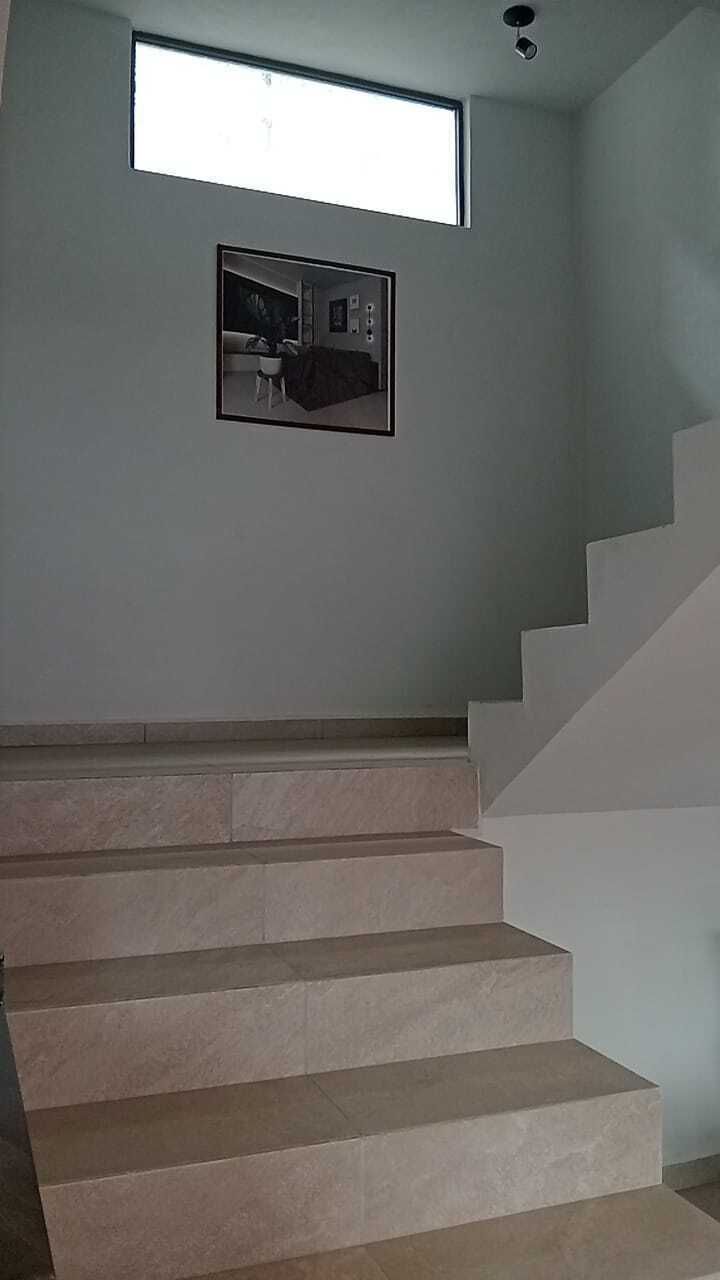 11 de 14