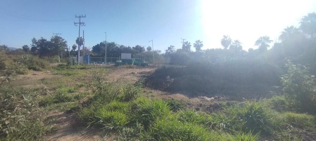 6 de 8