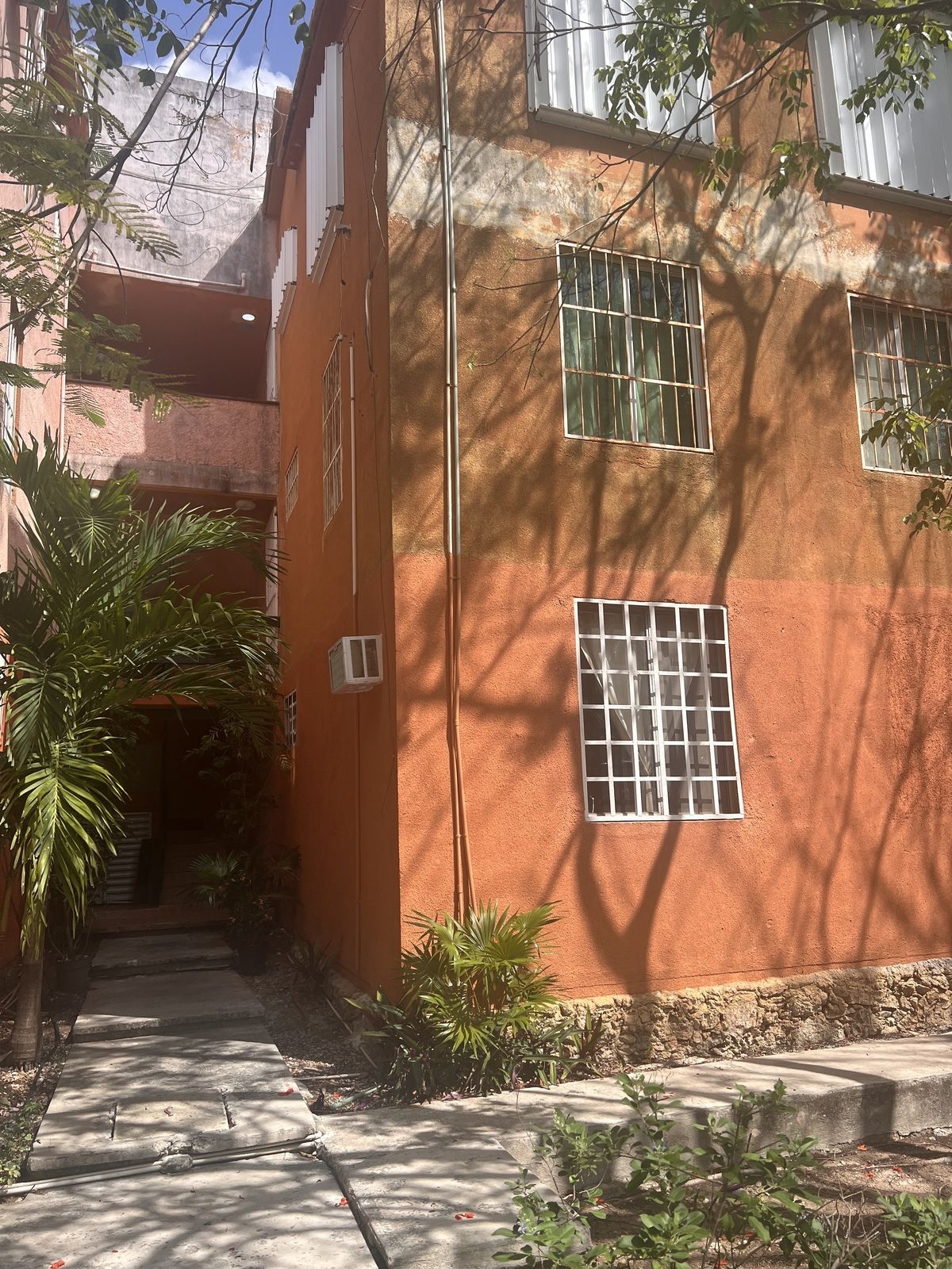 10 de 12