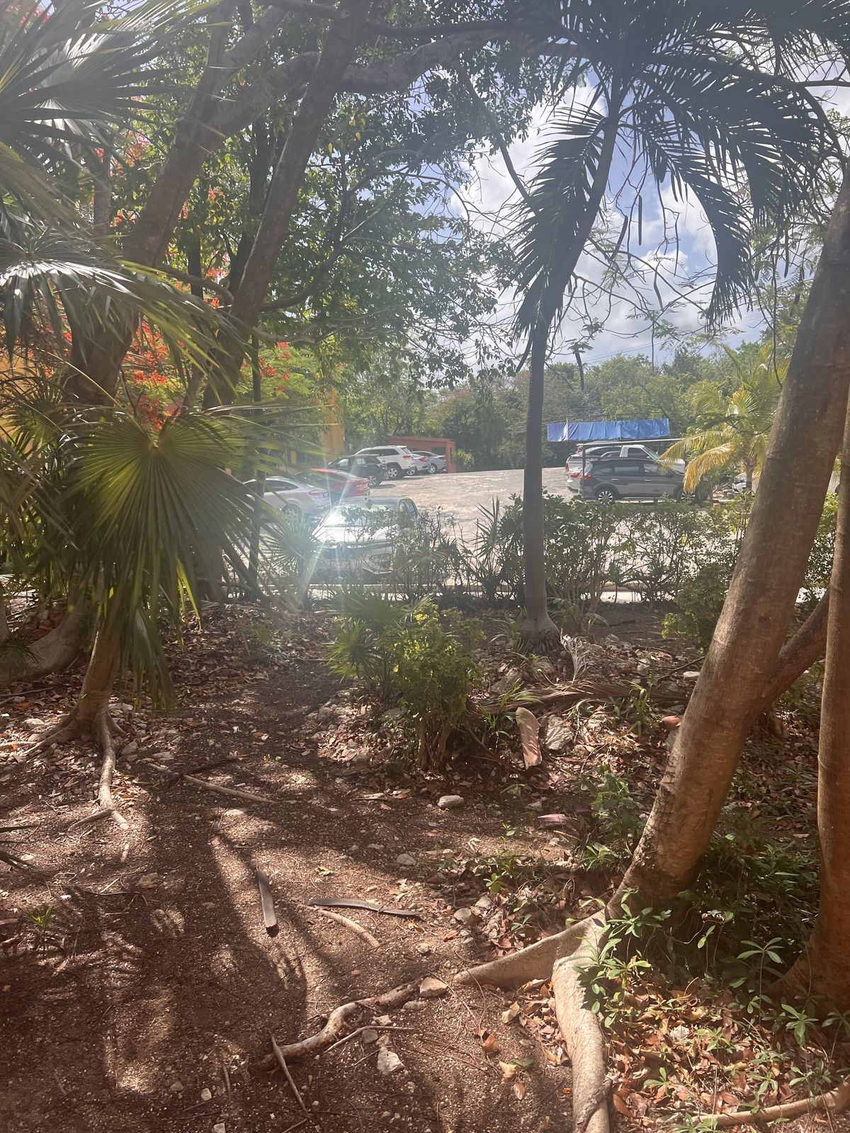 11 de 12