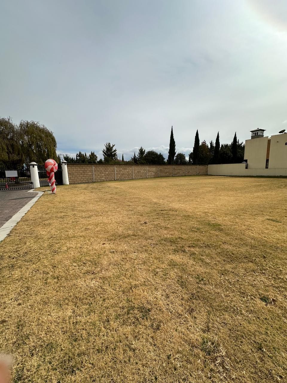 2 de 6