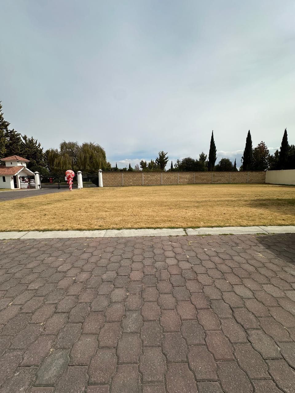 3 de 6