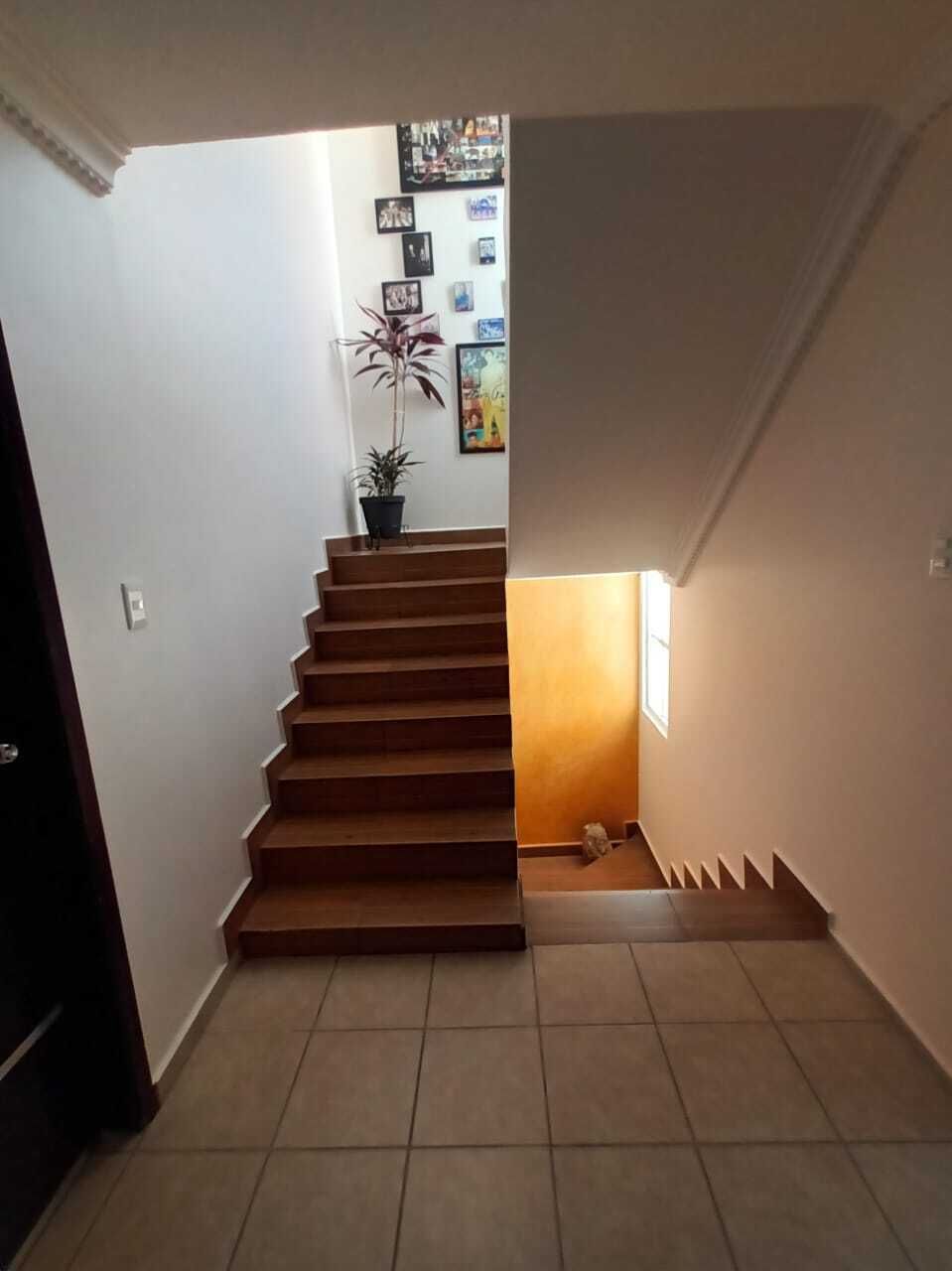14 de 36