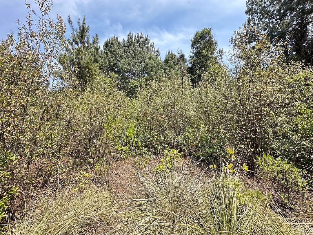 LAND FOR SALE IN GODÍNEZ TEHUASTEPEC, VALLE DE BRAVO, STATE OF MEXICO, photo 1 of 7