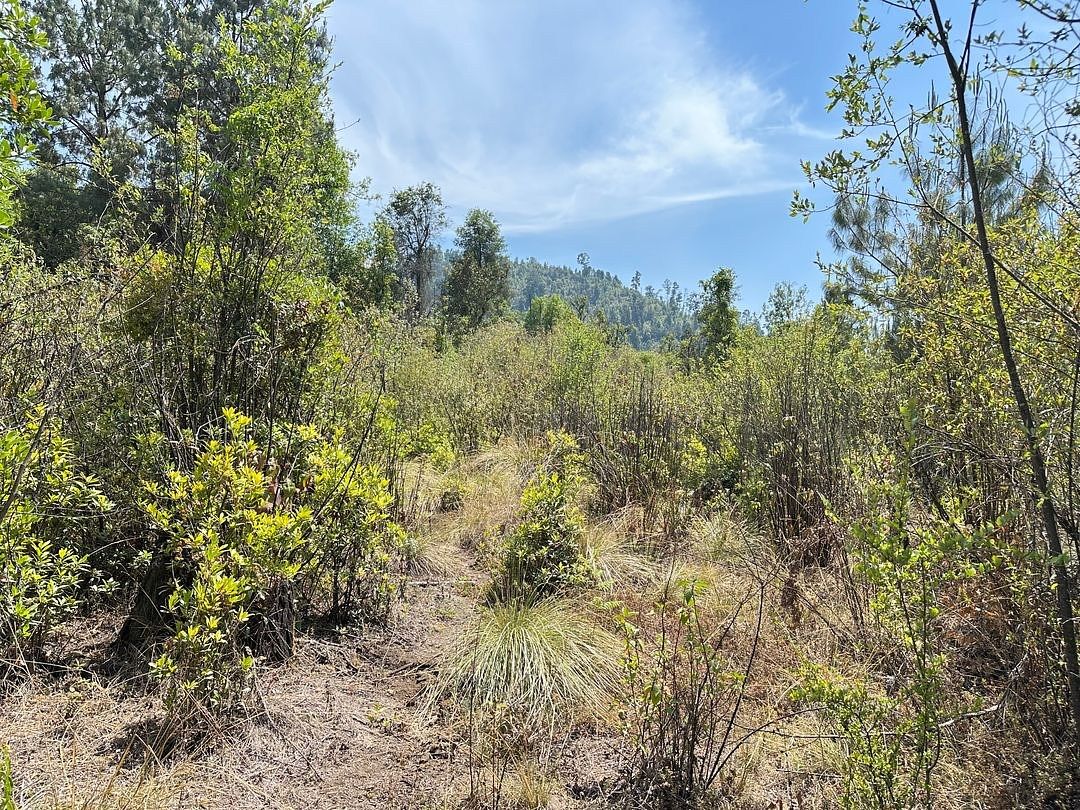 Lot in El Fresno, Valle de Bravo, photo 5 of 7