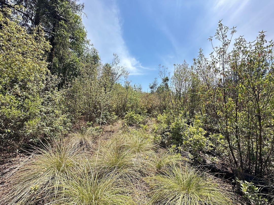 Lot in El Fresno, Valle de Bravo, photo 4 of 7