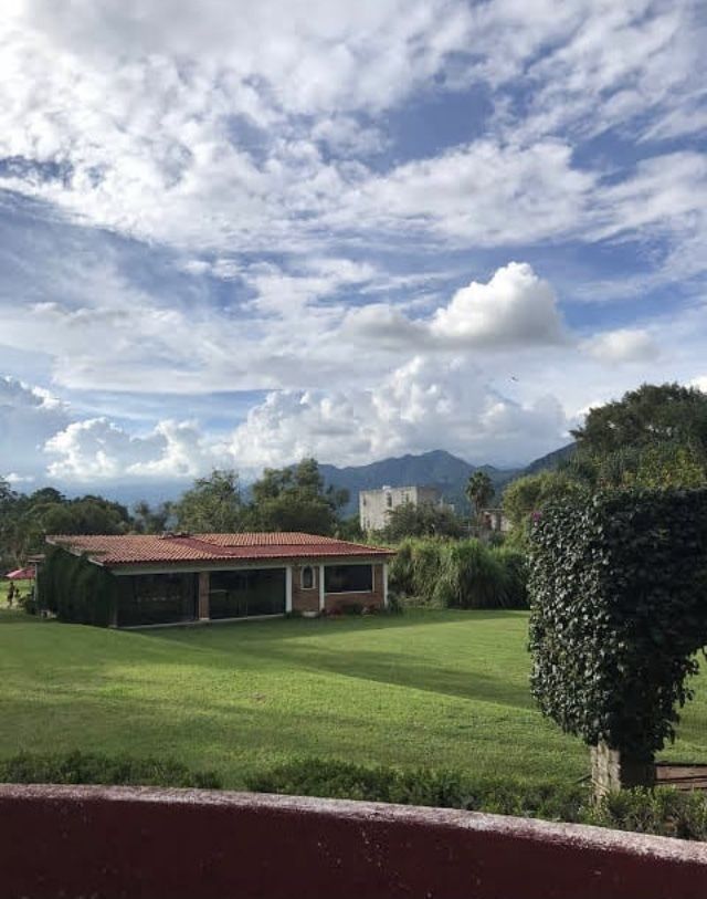 5 de 10