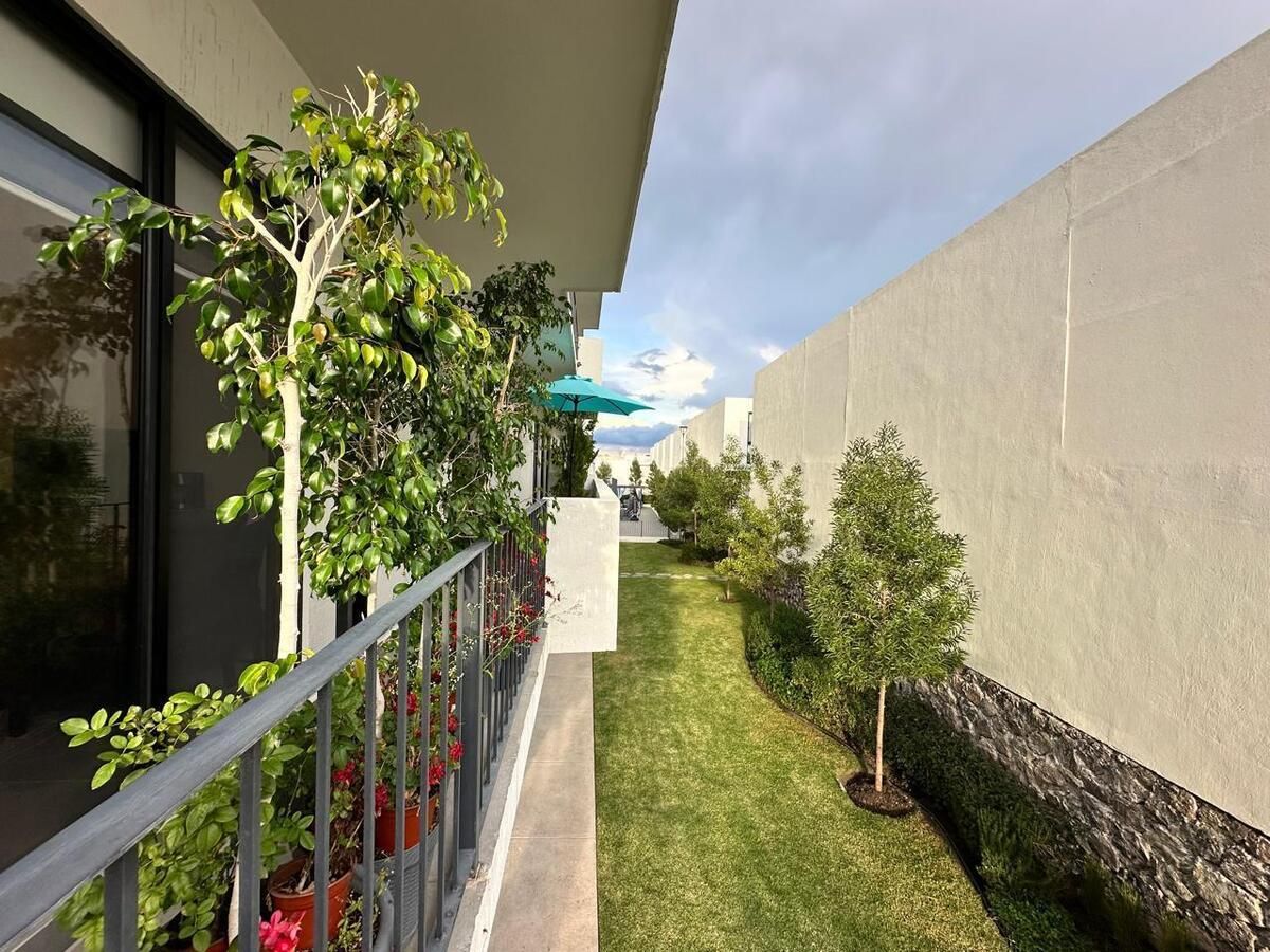11 de 41