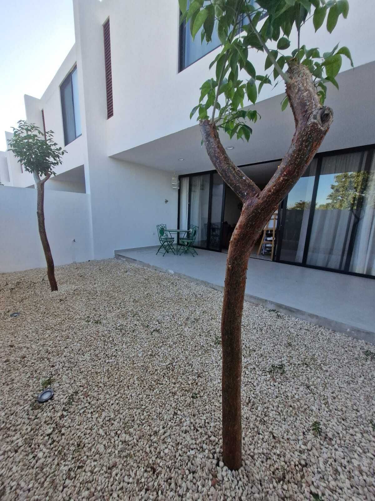 11 de 19: JARDIN TECHADO