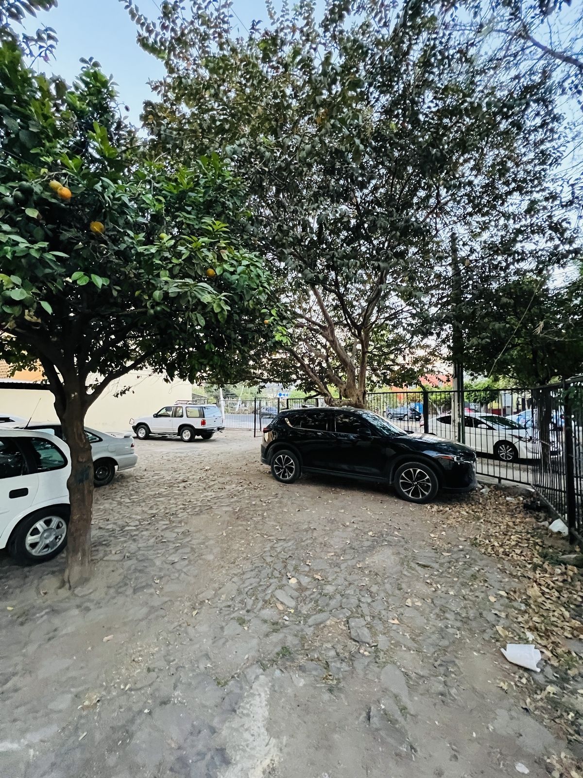 5 de 18