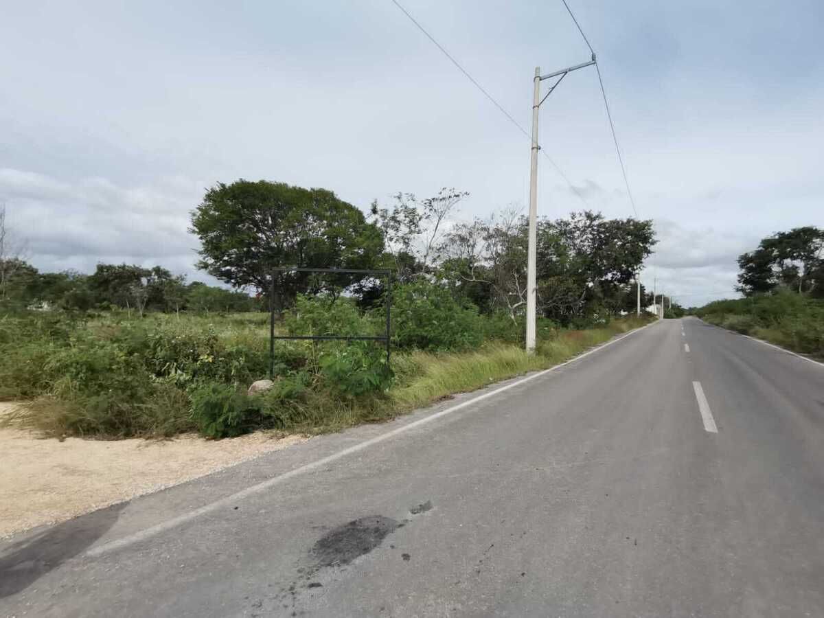 2 de 3