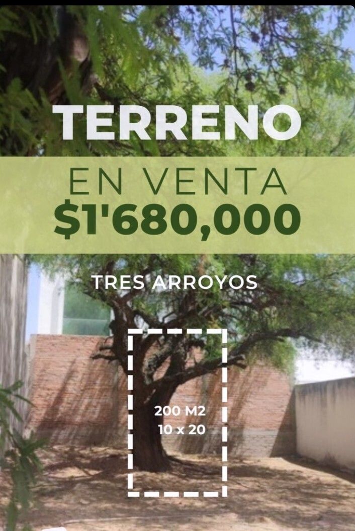 1 de 4