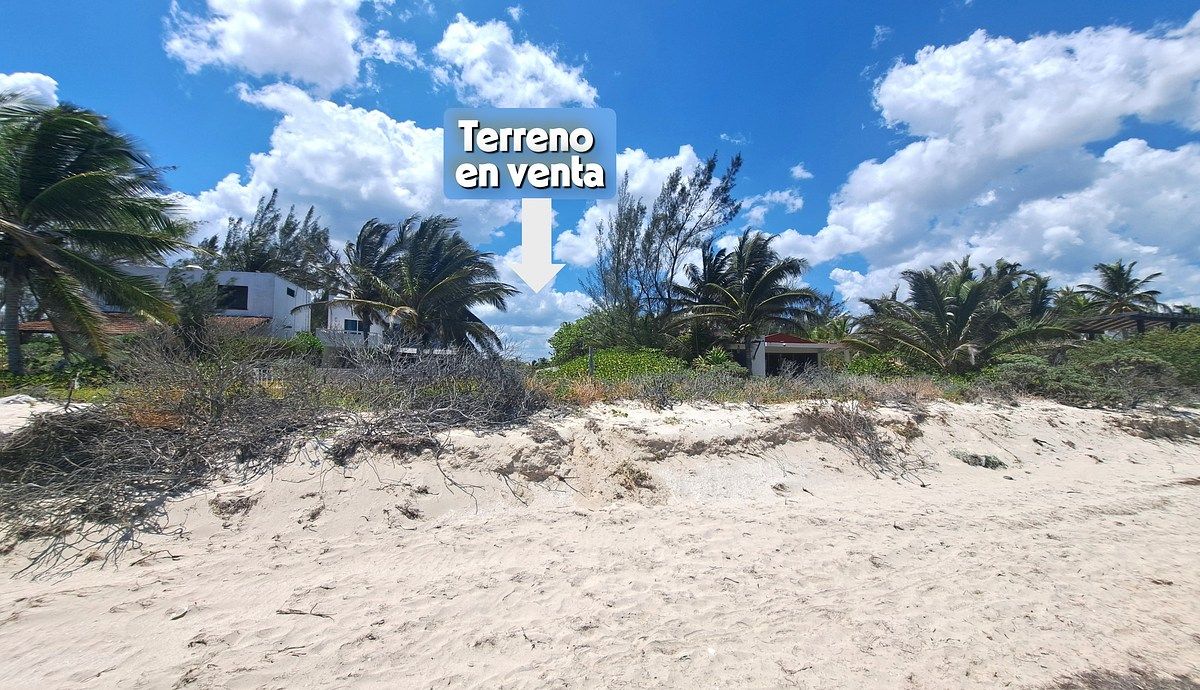 Imagen 3 de 10