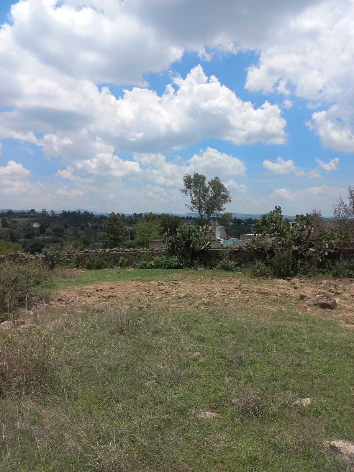 3 de 13