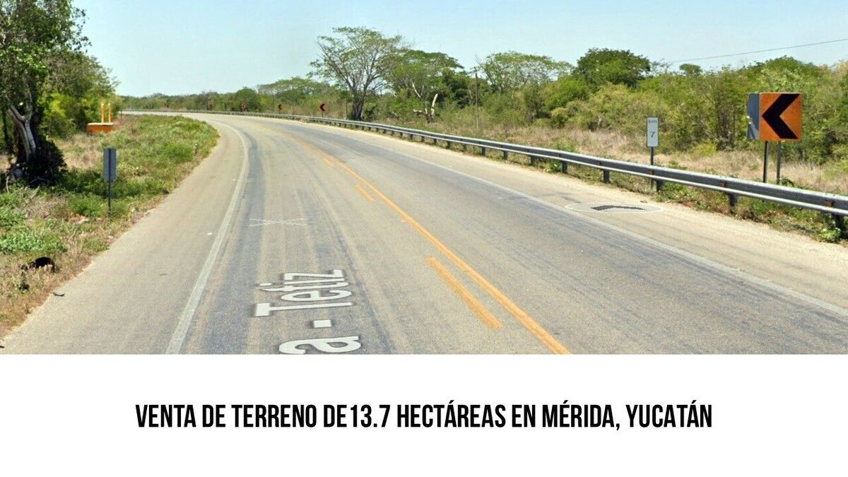 1 de 6