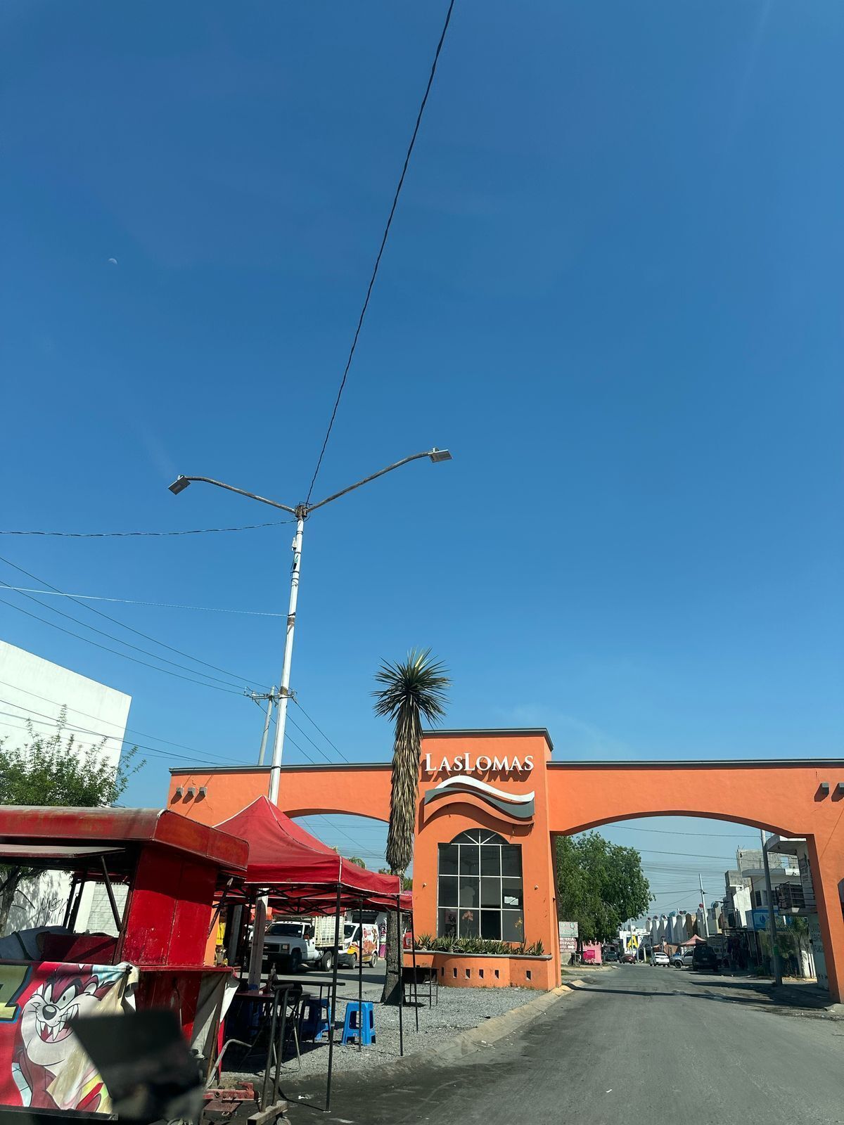 19 de 29