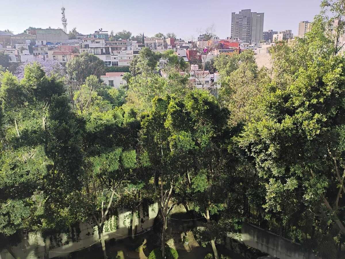 8 de 18: vista del departamento