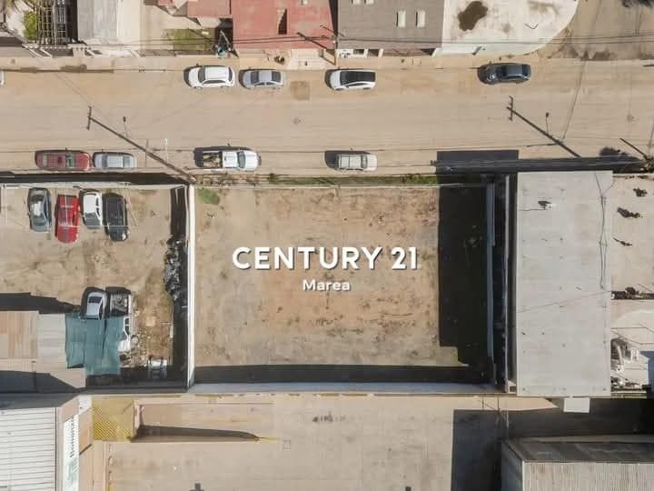 3 de 6