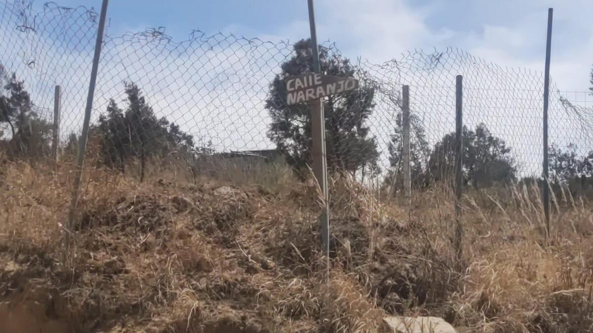 SE VENDE TERRENO PARA VIVIENDA - foto 2