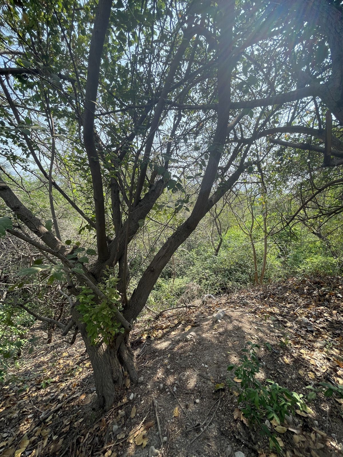 4 de 7