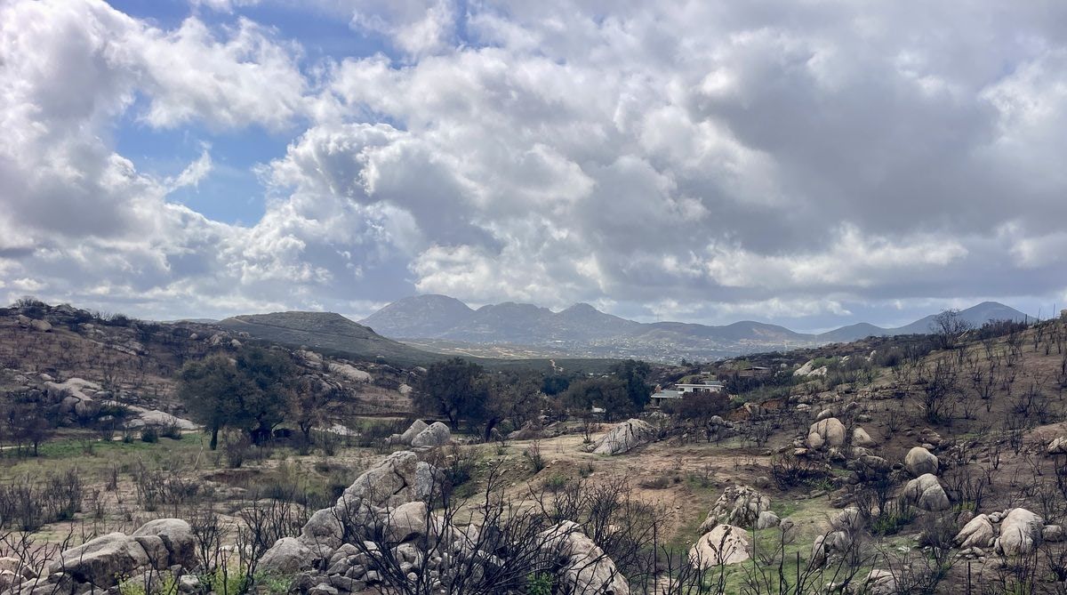 📍Terreno campestre en venta de 5 hectáreas en Tecate 🏡🌿