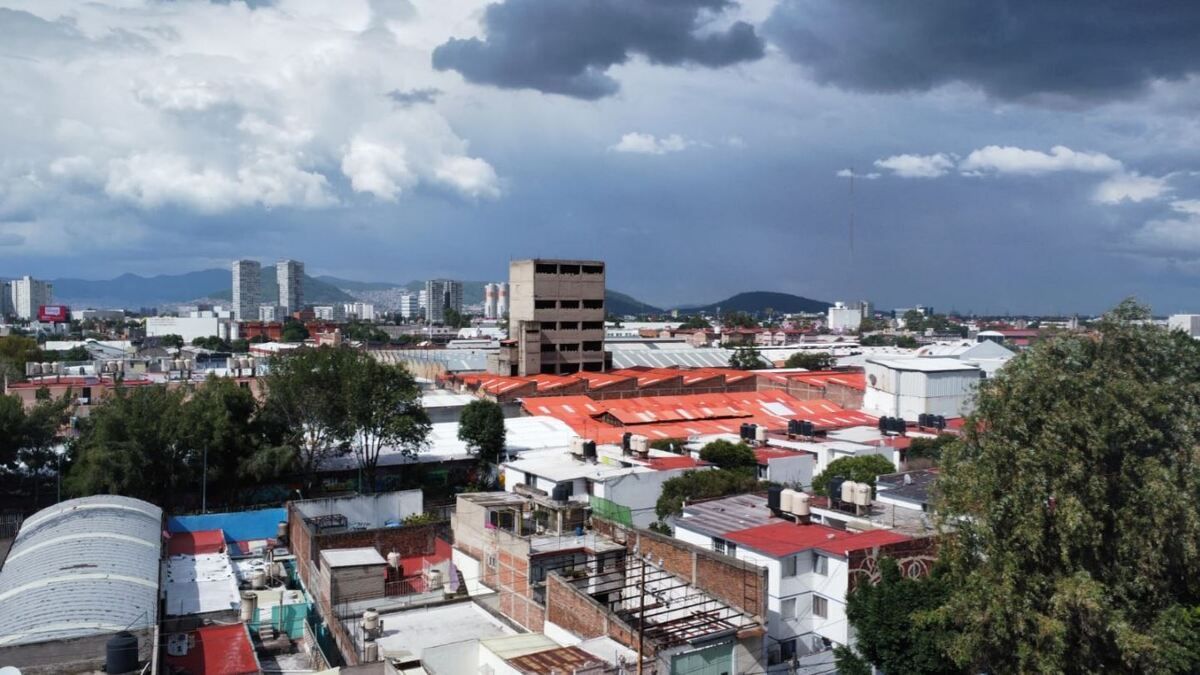 5 de 7: vistas