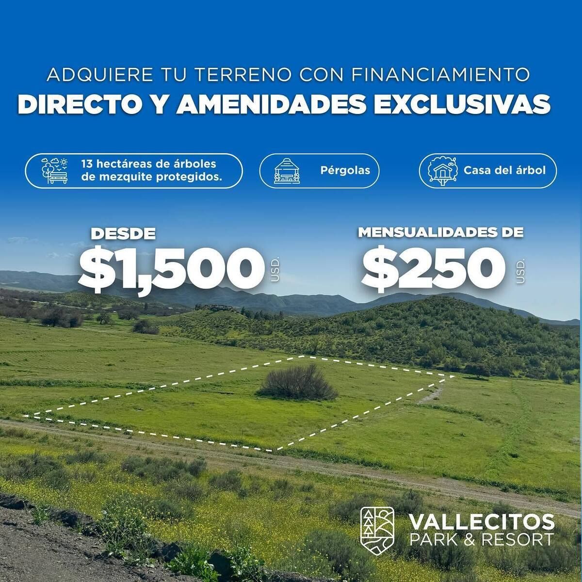 3 de 37