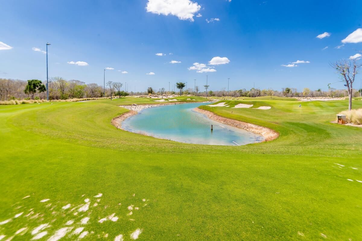 38 de 39: Campo de golf