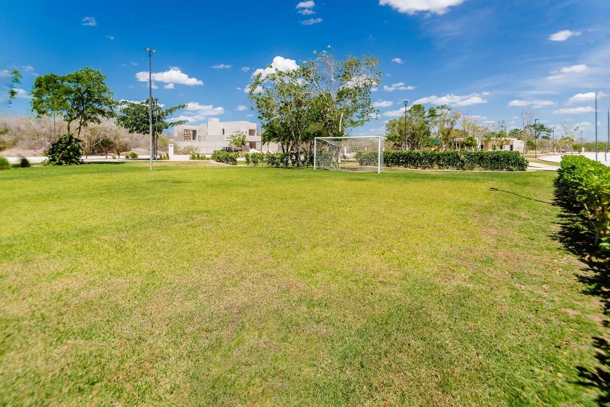 33 de 39: Parque frente a la casa