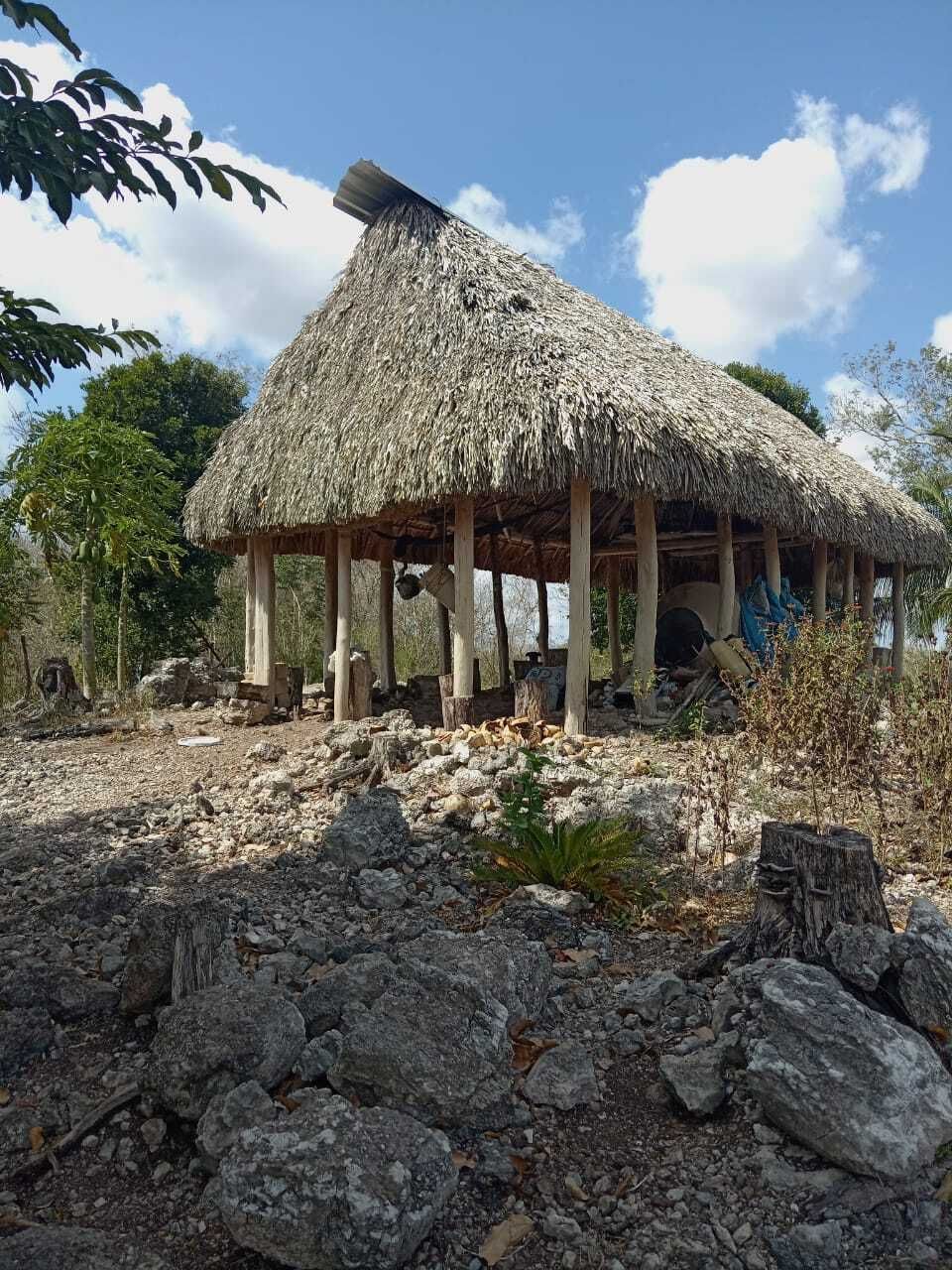 2 de 14