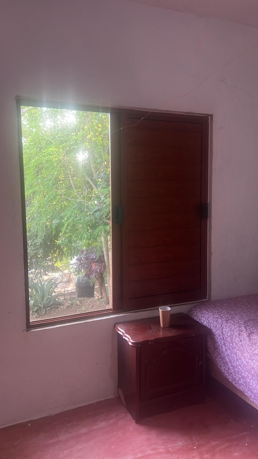 4 de 7: cuarto con vista a jardín