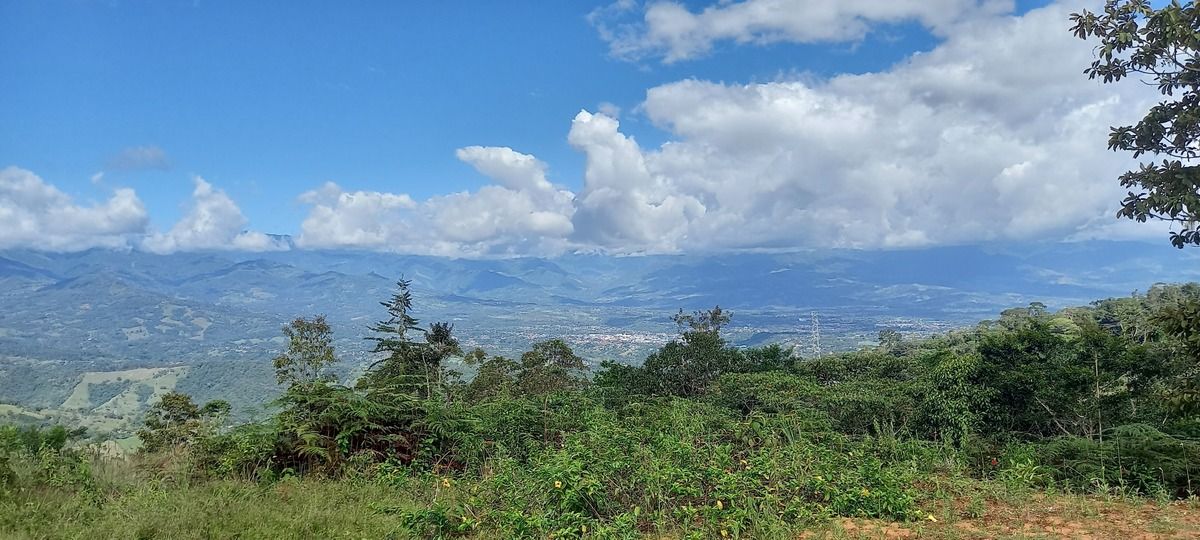 4 de 17