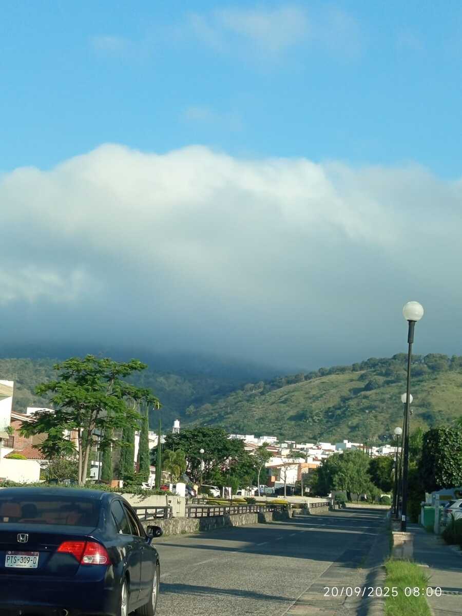 2 de 8