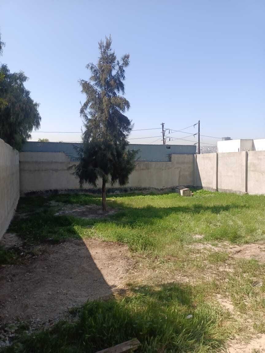 4 de 9