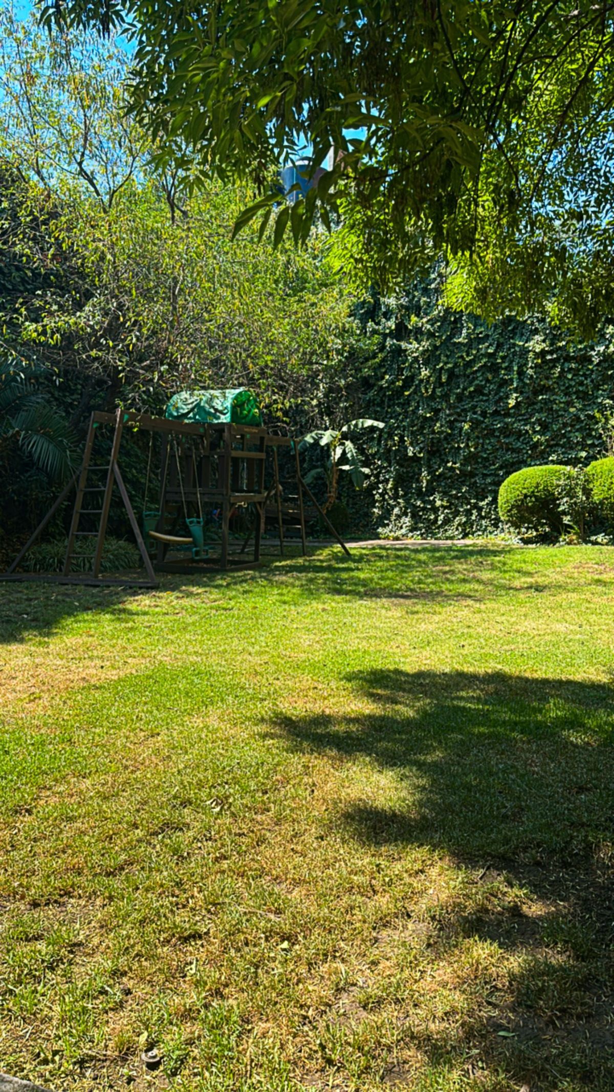 5 of 23: Jardín
