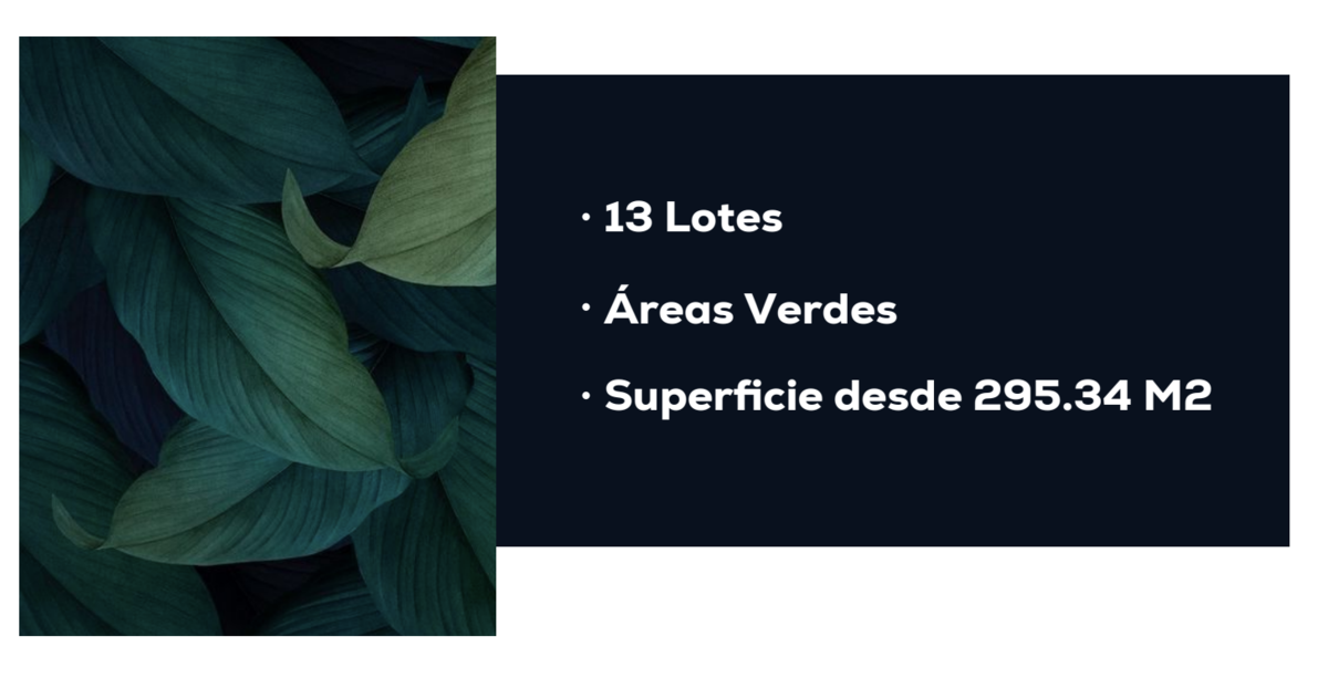 2 de 2