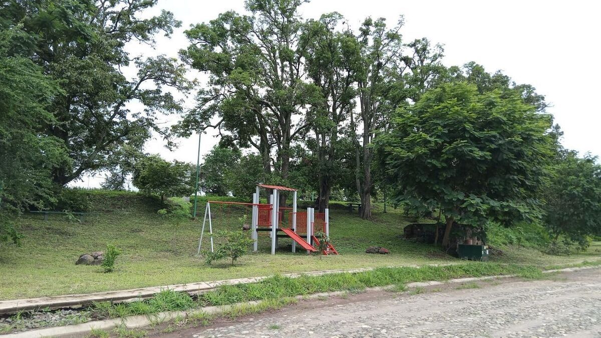3 de 6